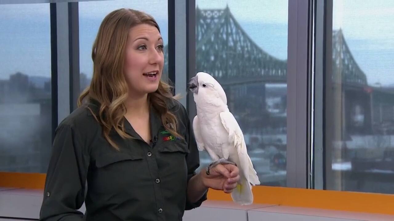 WEB_SalutBonjour_2021-03-05T09_29_56__1523000-05_00D566532