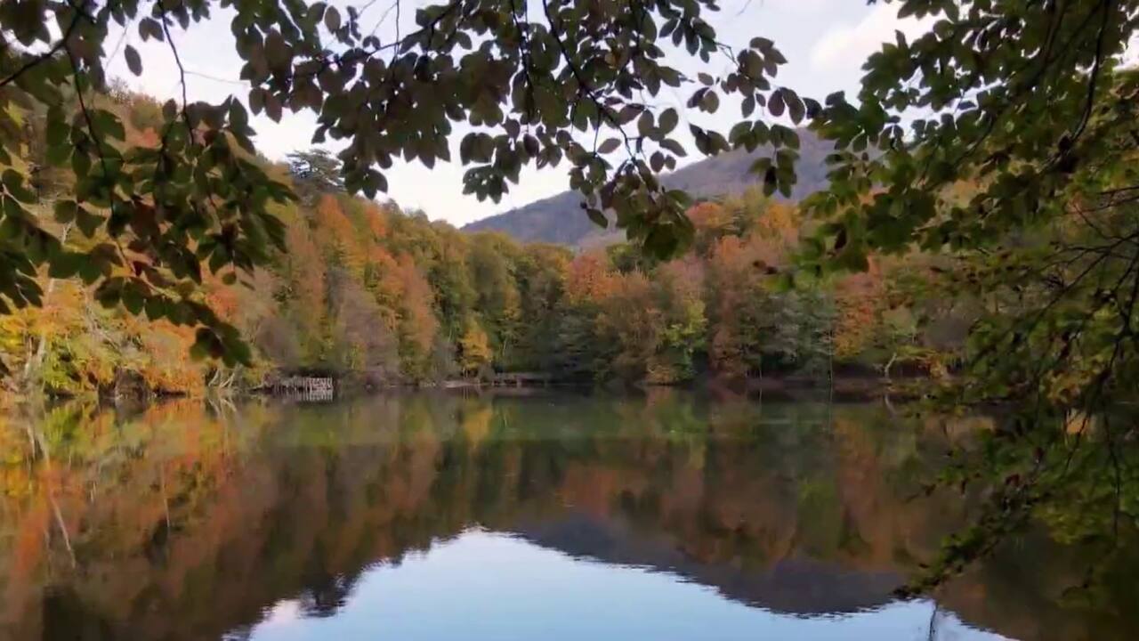 Guillaume Duranceau Thibert