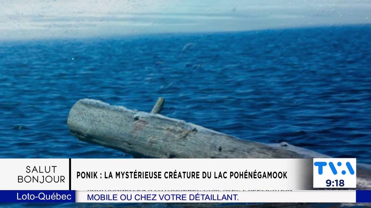 Ponik, la mystérieuse créature du lac Pohénégamook