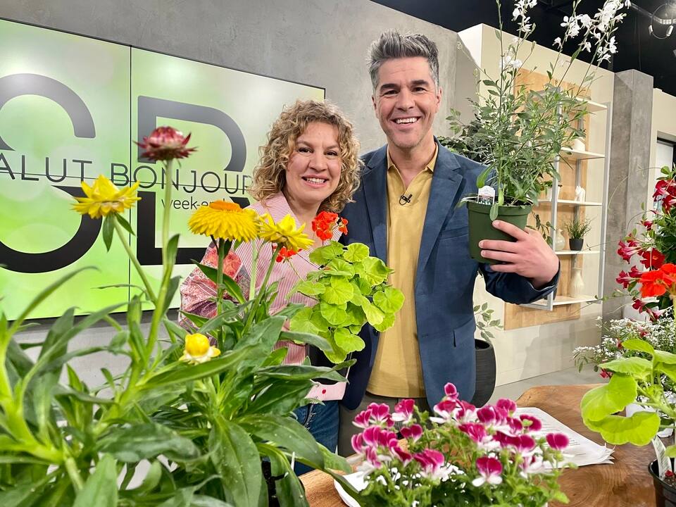 Enfin le bon moment pour planter