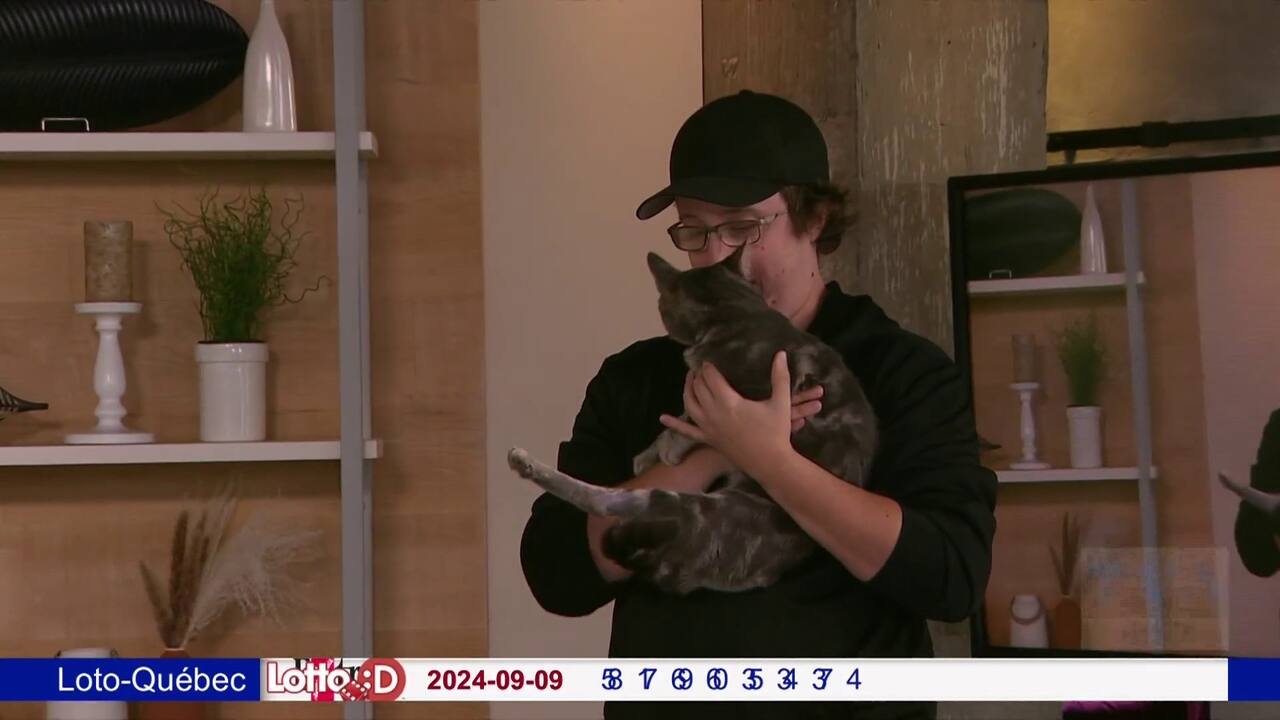 La vétérinaire Claudia Gilbert nous explique pourquoi dégriffer son chat est une mauvaise idée.