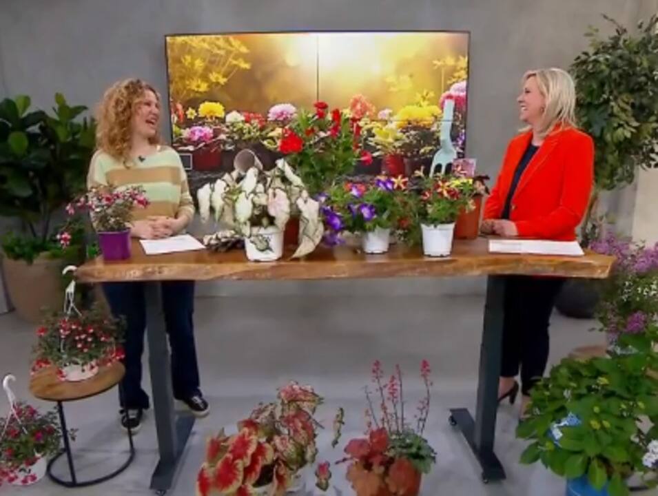 CFTM_2022-05-08T08_45_26__0032667-04_00D421487