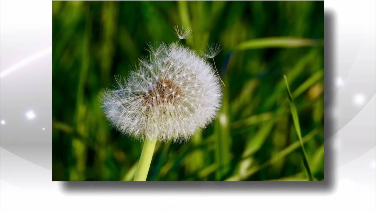 WEB_SalutBonjour_2021-04-13T08_54_00__0031333-04_00D476108