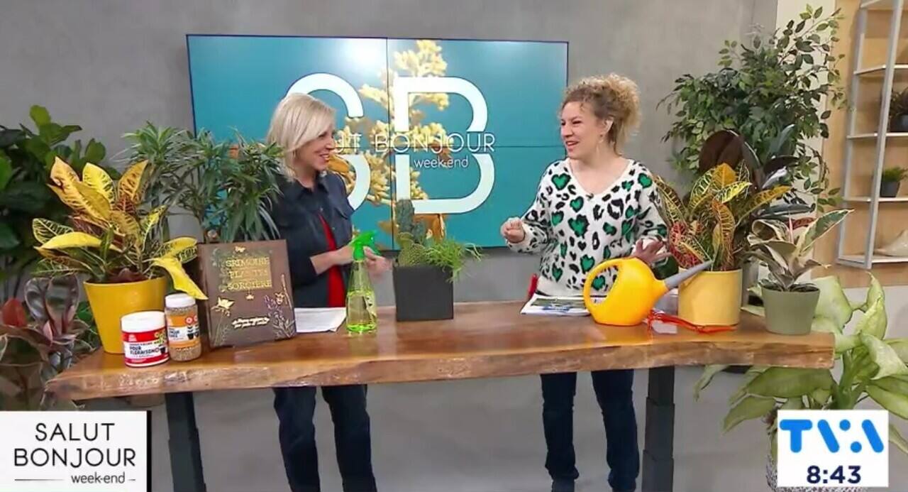 Tout savoir sur 5 plantes toxiques 