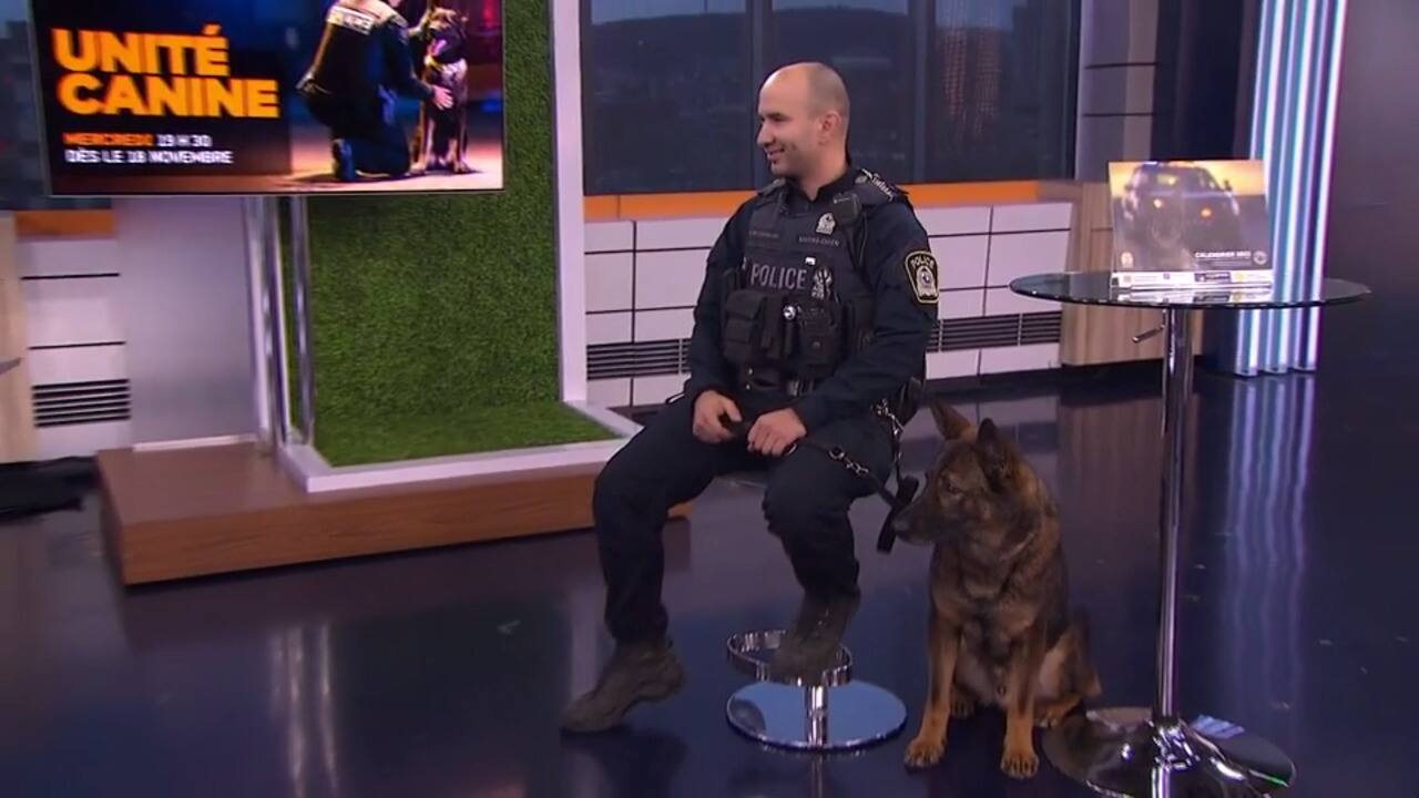 WEB_SalutBonjour_2020-11-18T07_20_47__7914667-05_00D326326