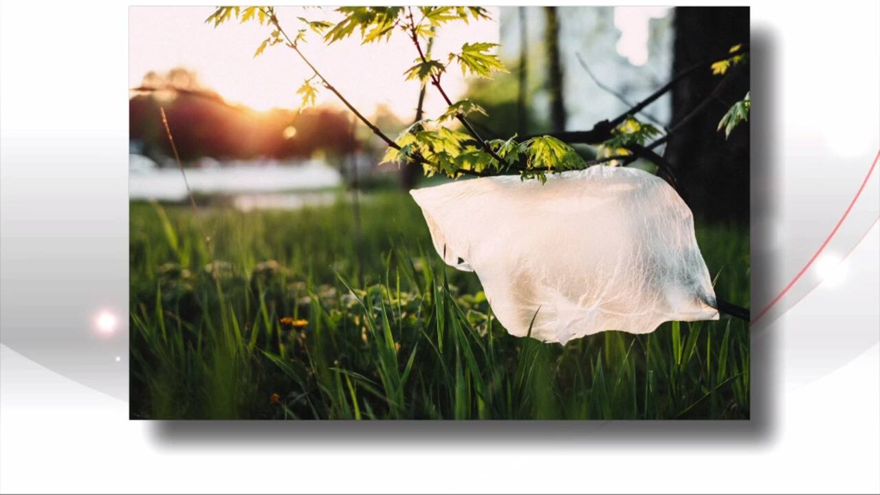 WEB_SalutBonjour_2021-05-27T08_49_08__4207667-04_00D463496