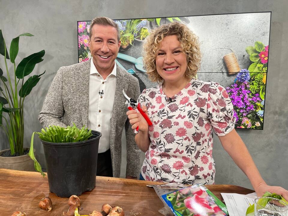 L'automne et les travaux extérieurs