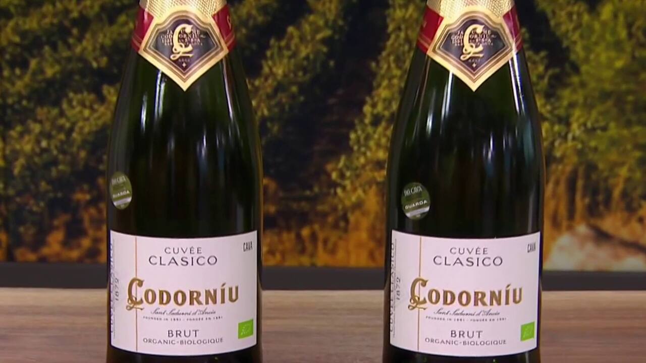 Cbab - espagne cordoniu 