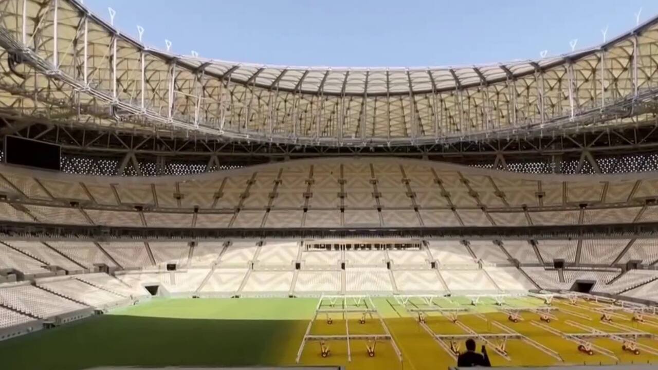 FIFA Qatar 2022