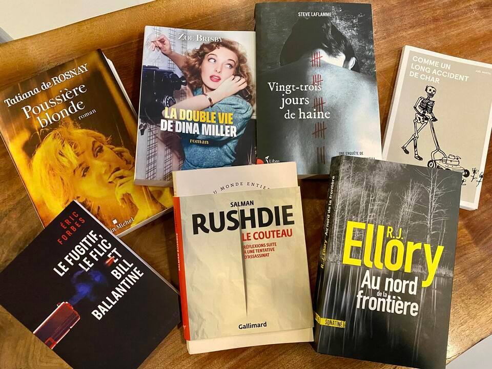 Lecture parfaite pour le long week-end 