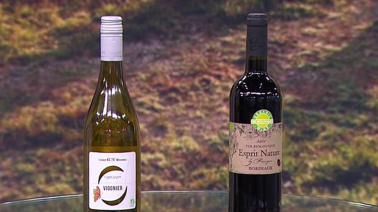 cbas- ImportationsBMT