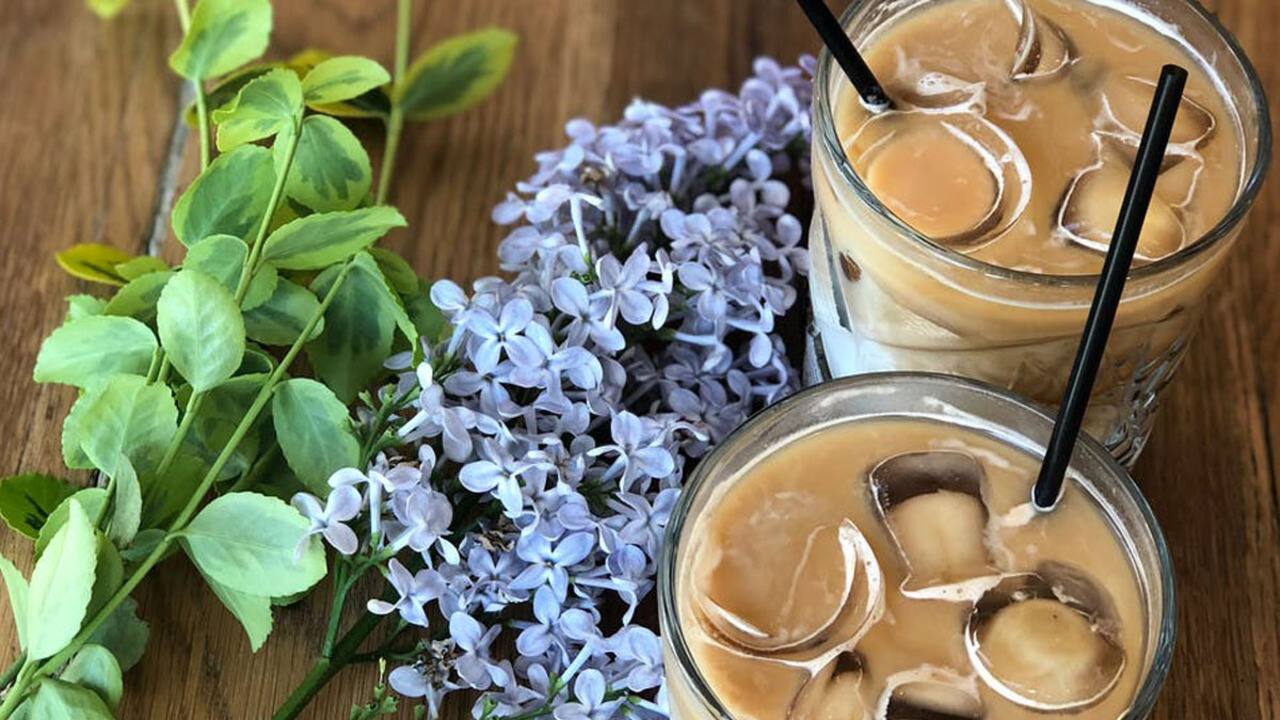 WEB_SalutBonjour_2021-06-25T08_36_21__7675000-04_00D142709