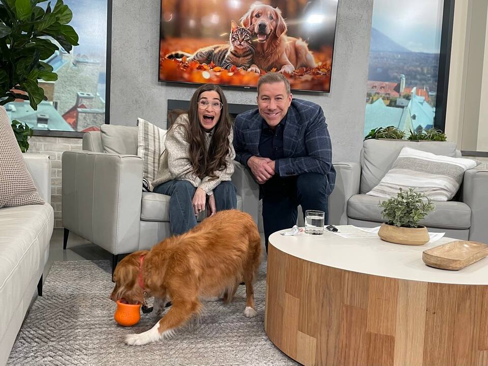 Les parasites n'ont pas dit leur dernier mot : pourquoi il faut poursuivre la prévention à l'automne