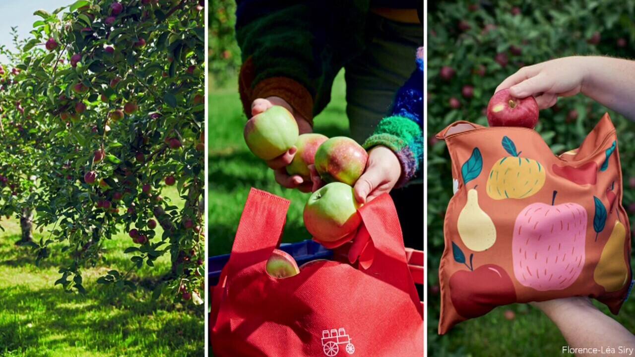 WEB_SalutBonjour_2023-10-05T08_52_22__2285000-04_00D426159