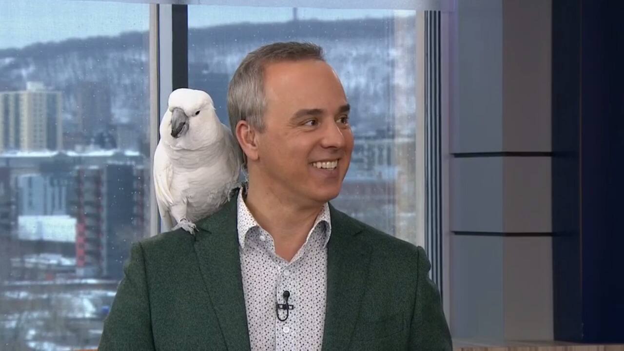 WEB_SalutBonjour_2021-03-01T09_32_50__7932333-05_00D474073