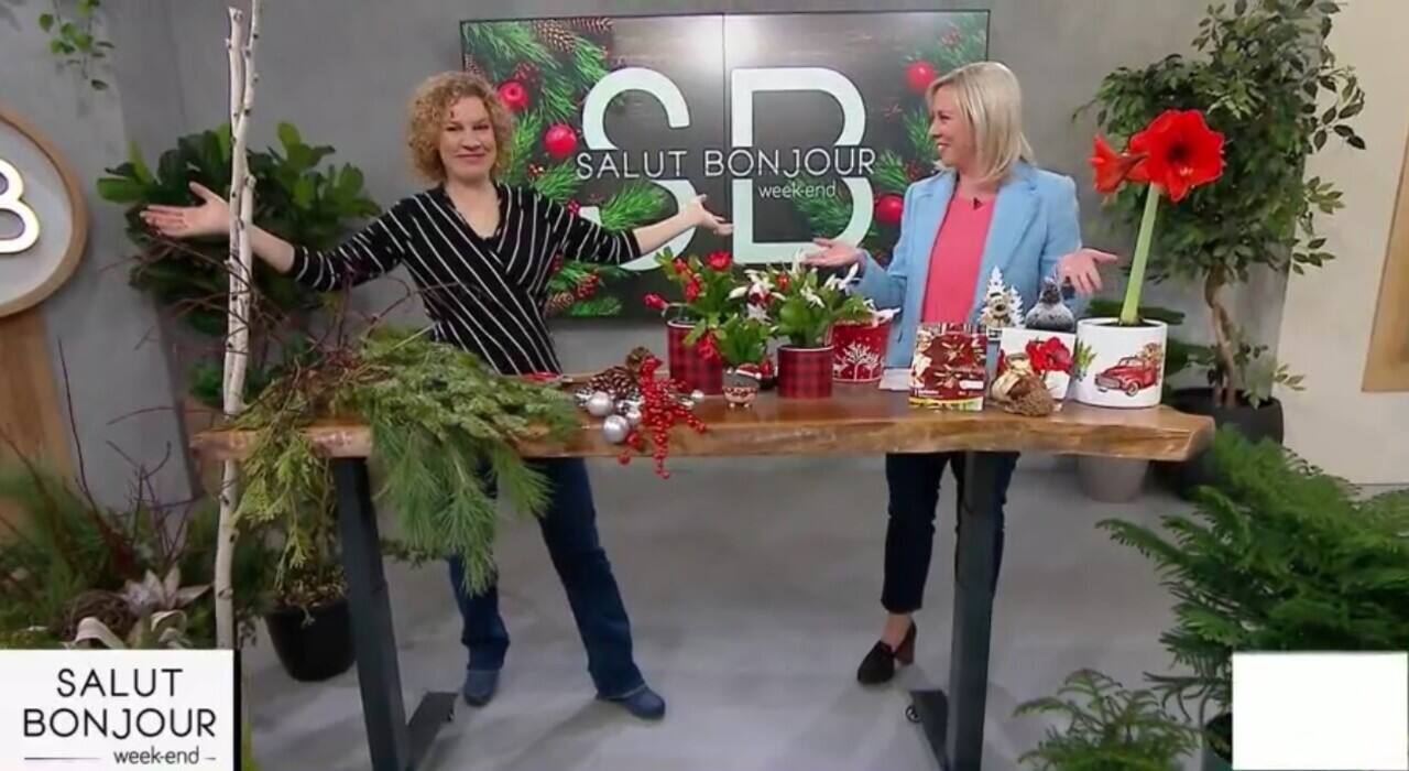 Décorations naturelles pour un Noël vert 