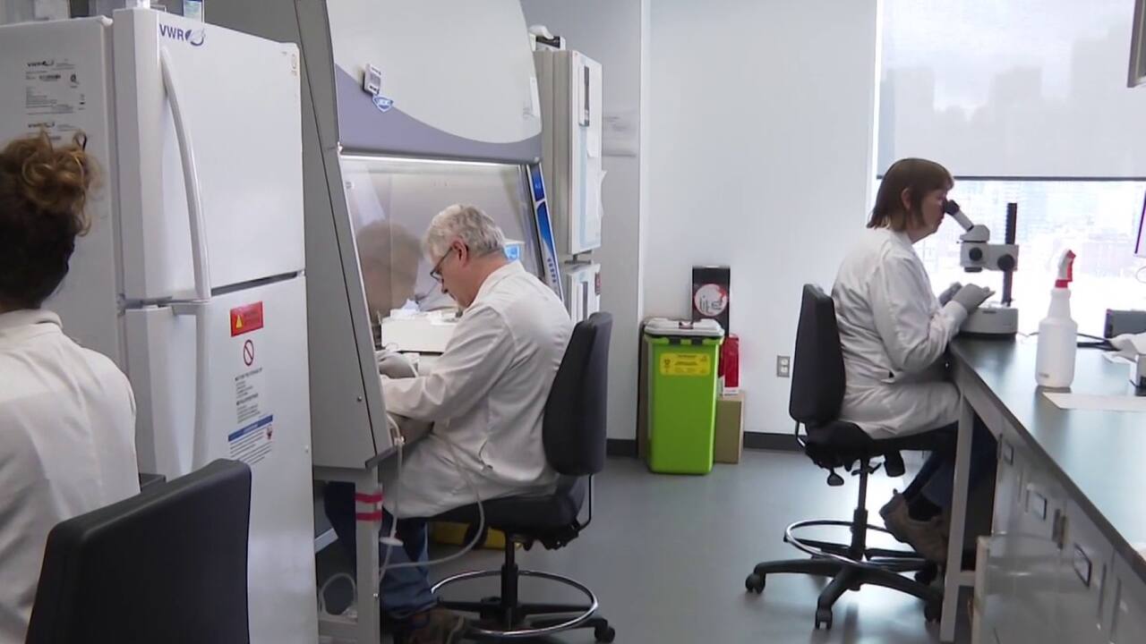 Segment Santé - Institut cancer