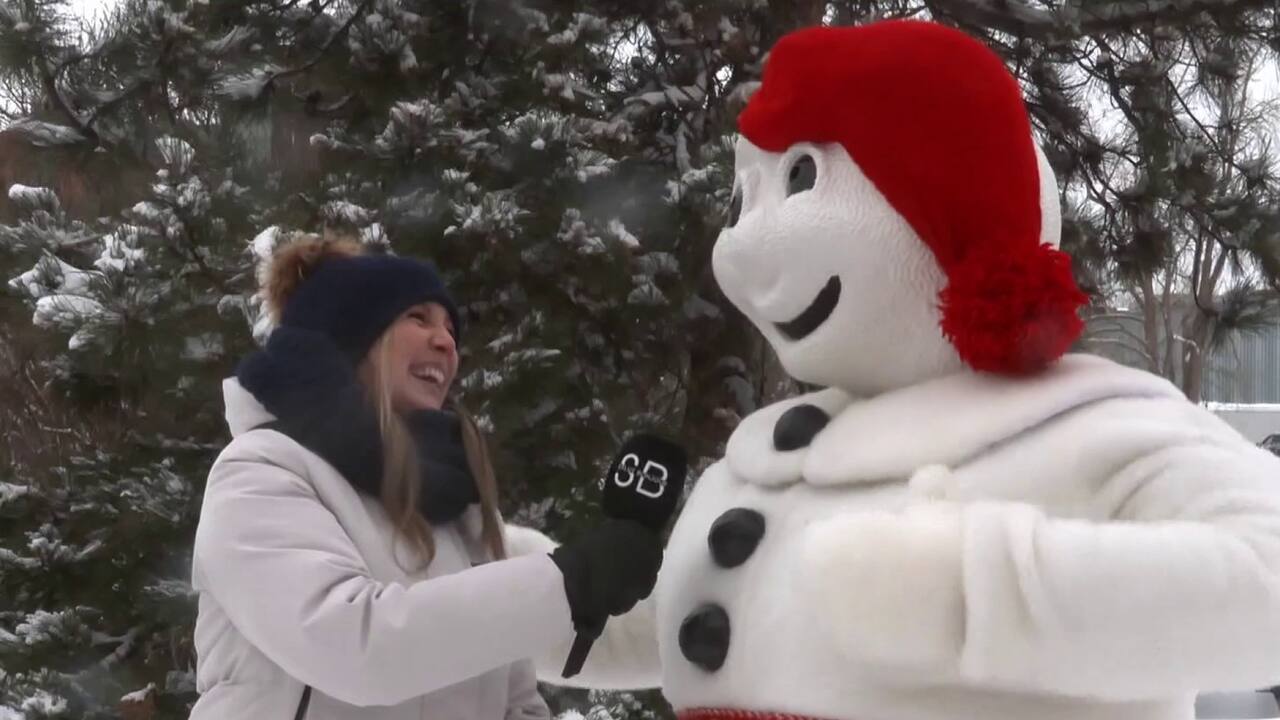 Bonhomme Carnaval