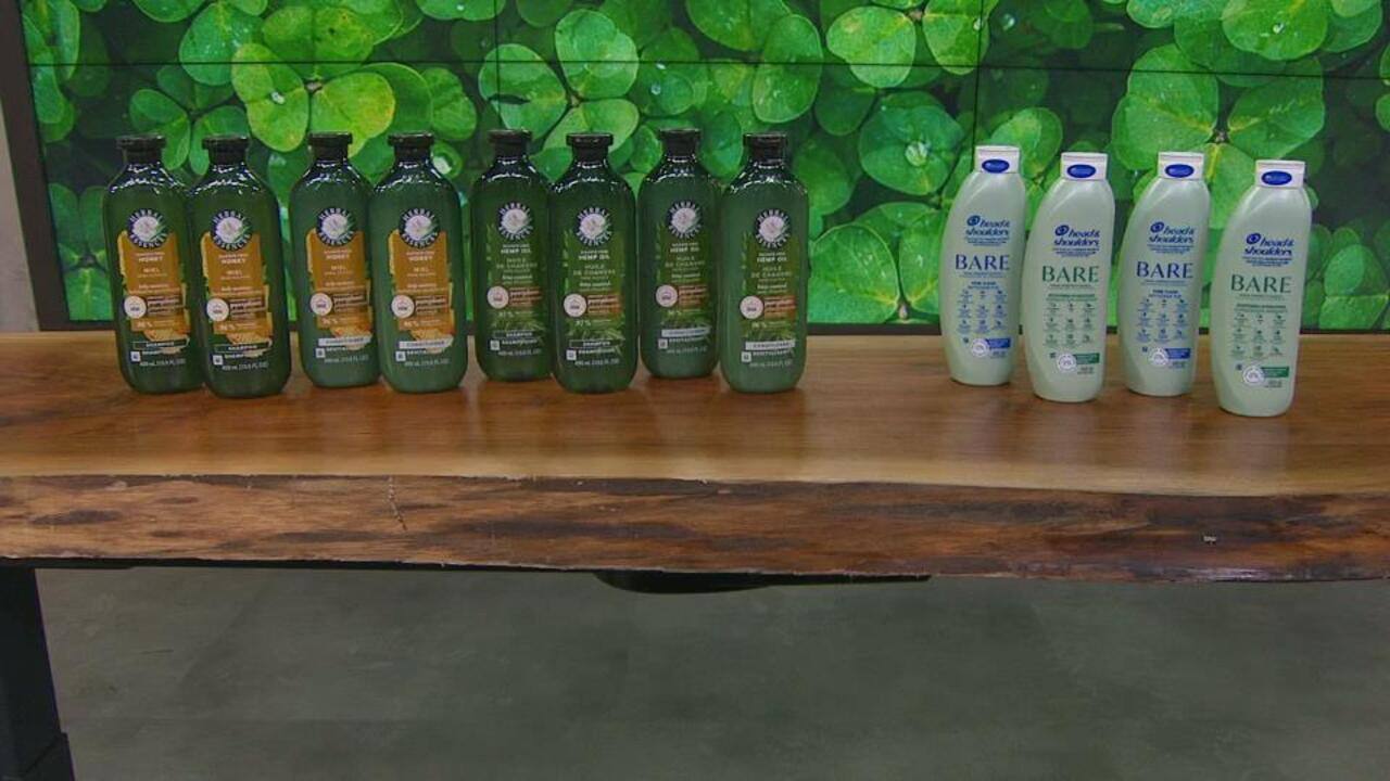 WEB_SalutBonjour_2024-02-22T08_20_03__7536667-05_00D87954