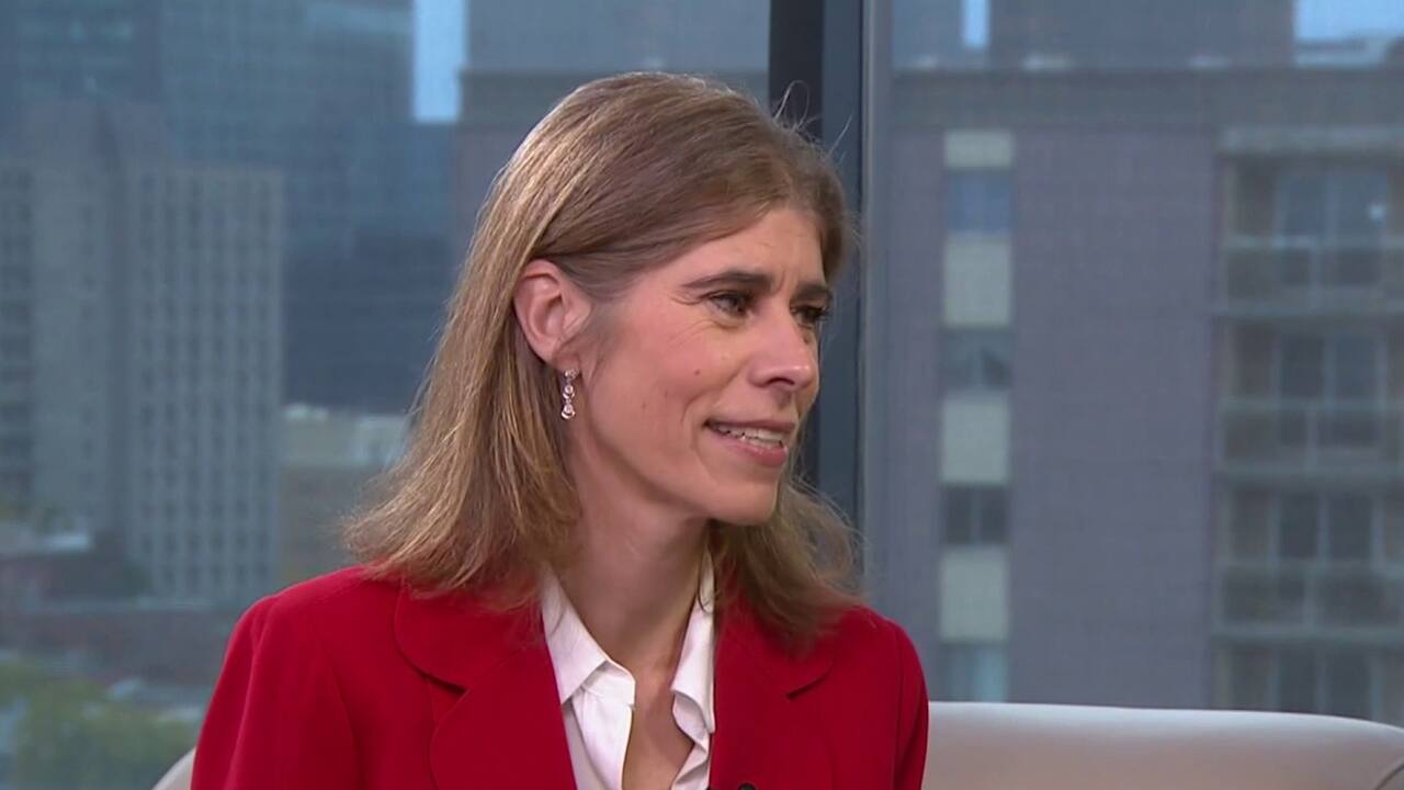 Pitou et minou au bureau