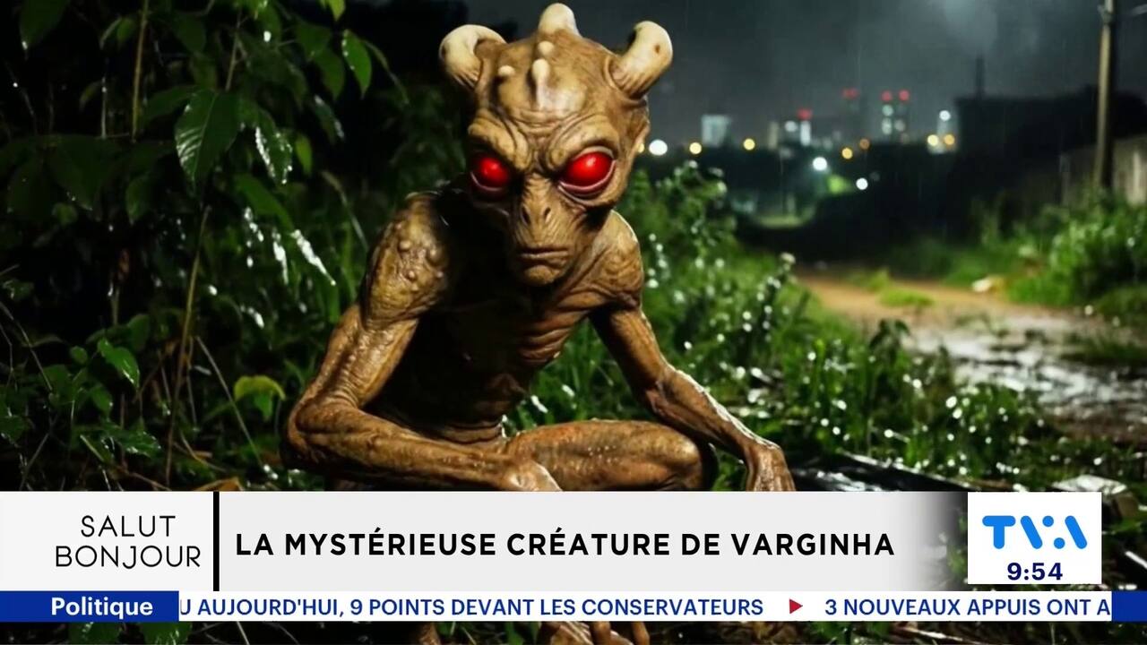 9h45 - christian page créature varginha