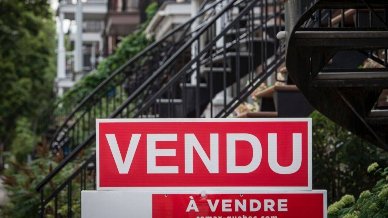 WEB_SalutBonjour_2021-01-26T08_50_24__1057000-05_00D500333