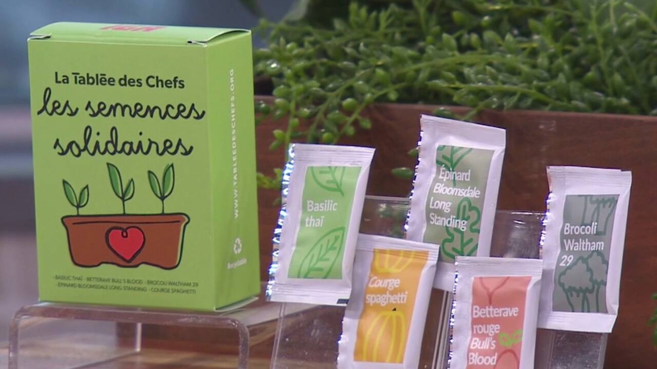 semances solidaires - IGA 