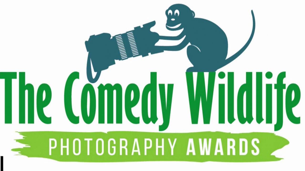 Comedy Wildlife 2022