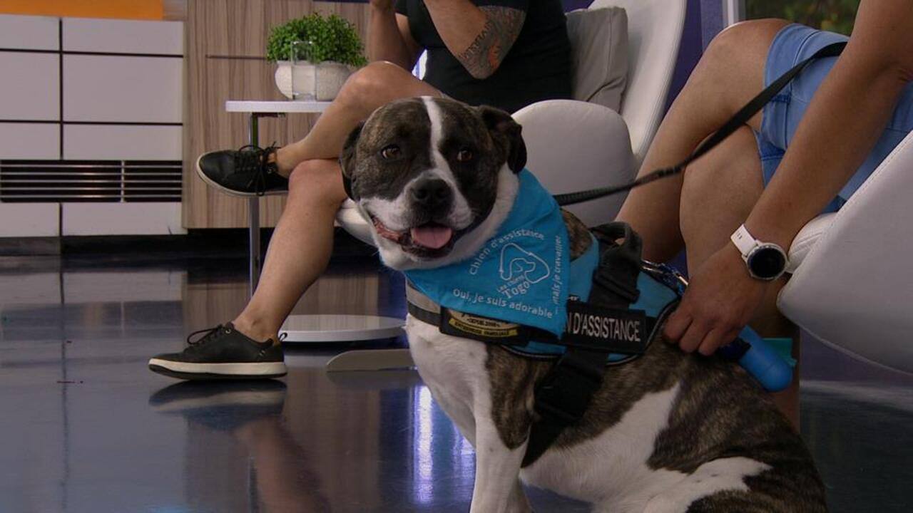 CFTM_2021-06-28T08_33_44__4054667-04_00D409675