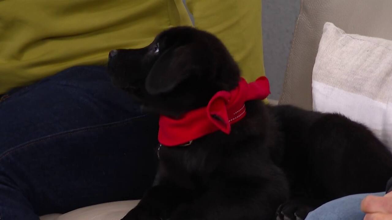 famille d'accueil - fondation mira