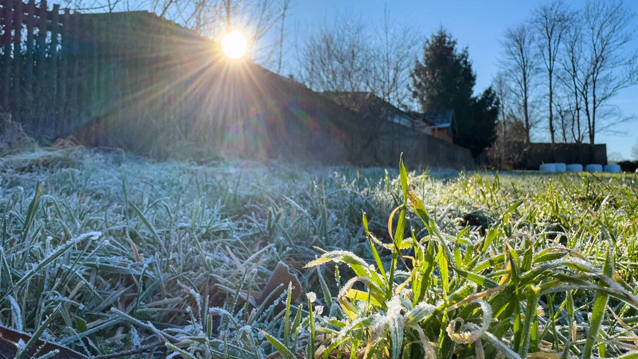 Entre deux printemps : quoi faire sur notre terrain 