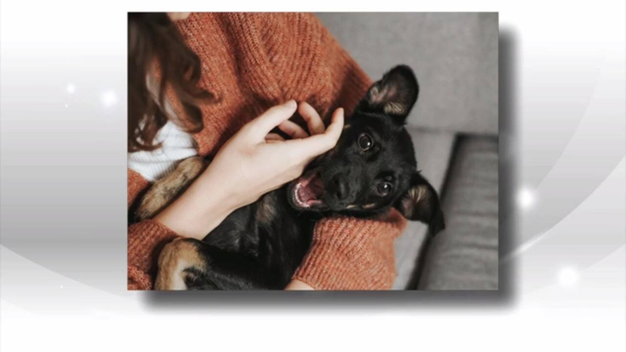 WEB_SalutBonjour_2021-01-19T08_47_51__3237333-05_00D579011