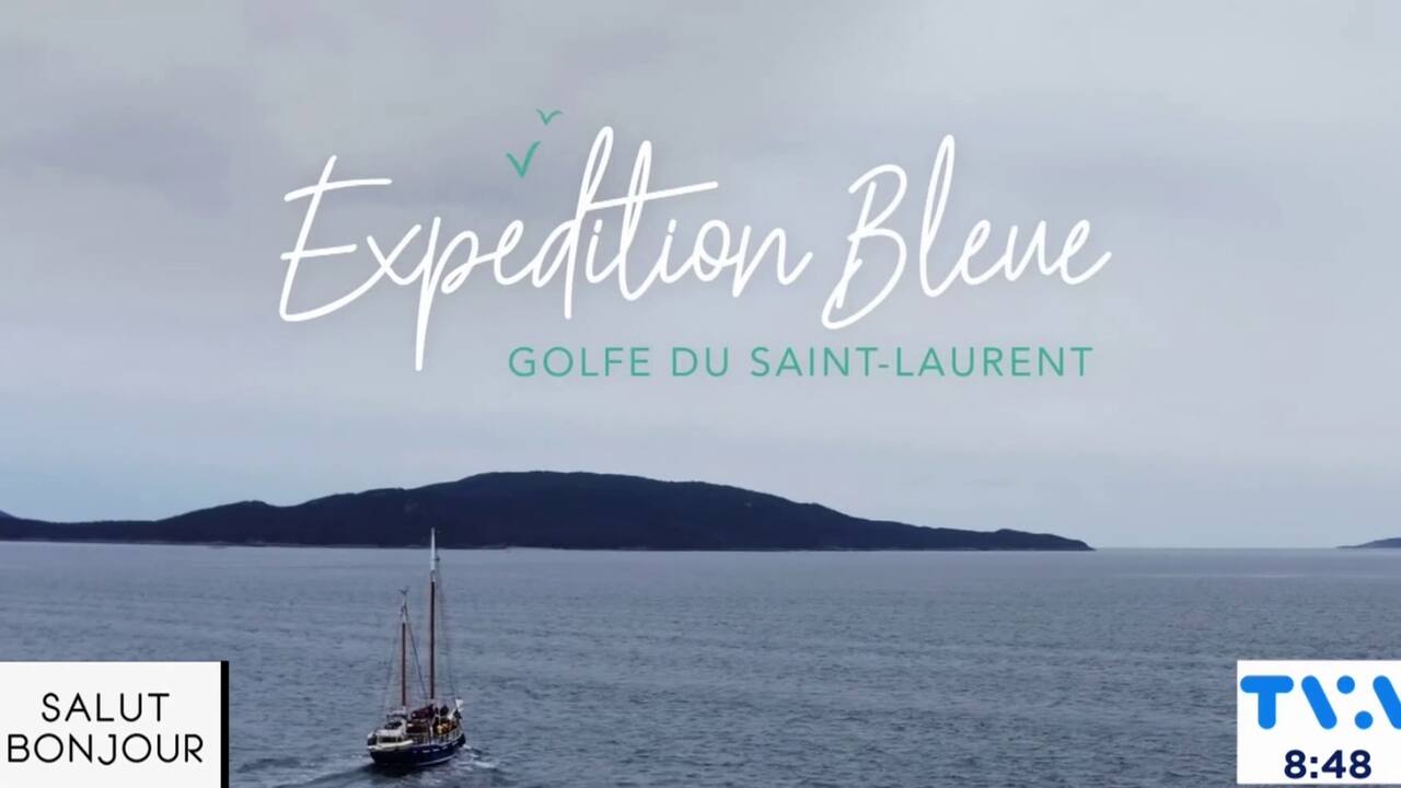 Expédition bleue 
