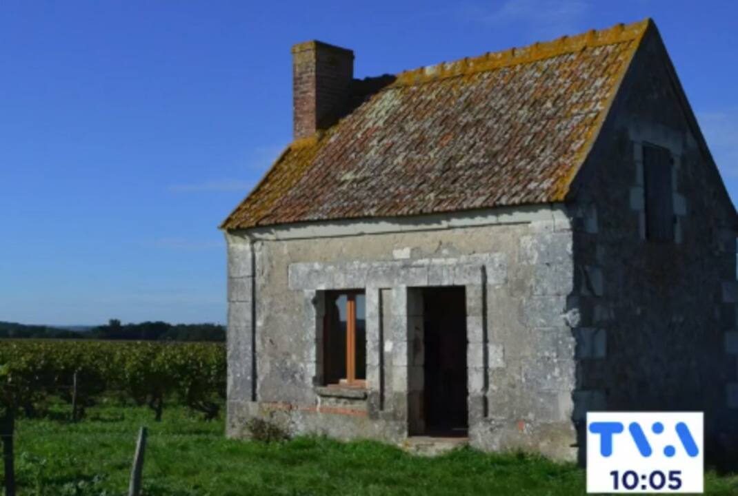 3 cuvées, 3 cépages, 3 aubaines 