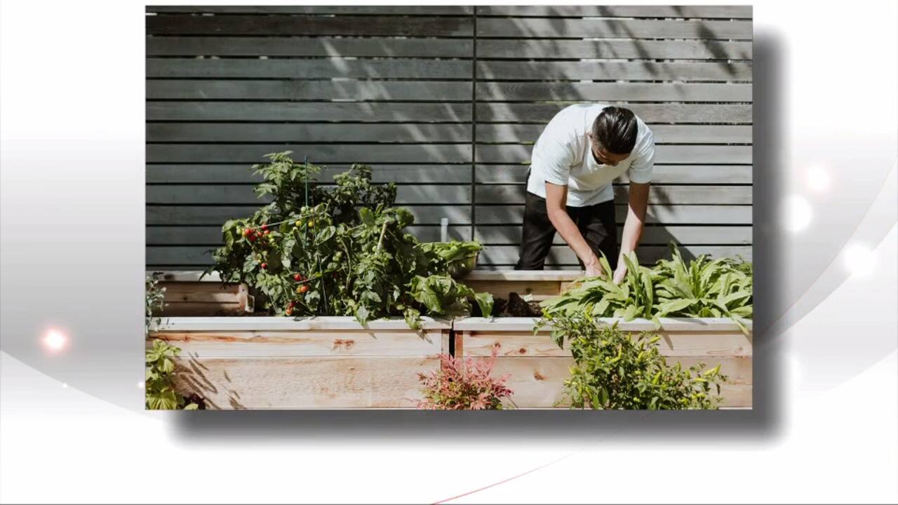 WEB_SalutBonjour_2021-06-17T08_49_28__6891000-04_00D475508