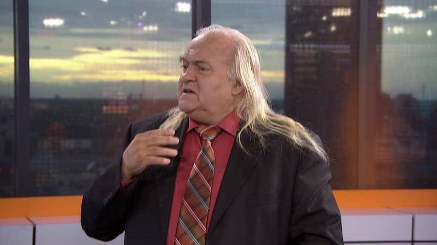 Envahis par les coccinelles