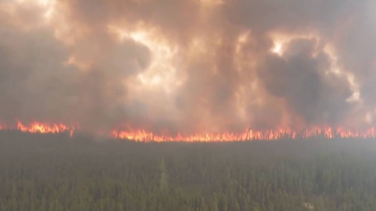 feux de forêt historiques: les impacts sur l'environnement
