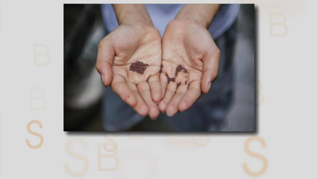 WEB_SalutBonjour_2022-06-01T07_40_00__2935667-04_00D250650